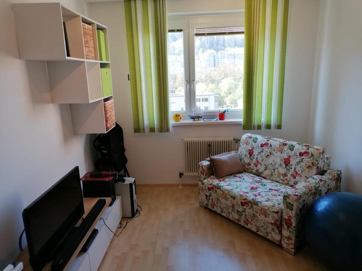 Massenbergblick Apartment Леобен Екстериор снимка